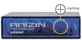 raizin-imitation1-e.jpg