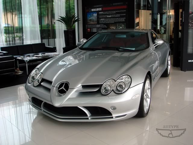 slr1.jpg