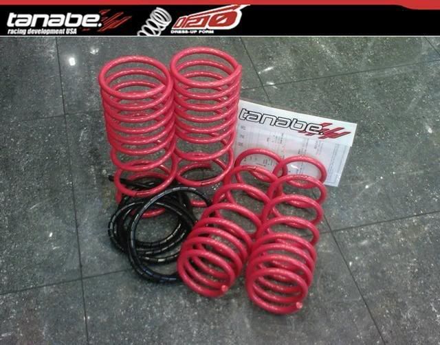 TanabeCoils.jpg