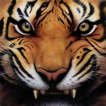 Tiger+Growl.jpg