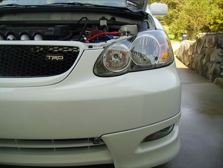 trd-header.jpg