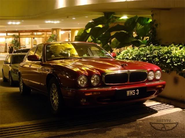 WMS3-JaguarXJ8.jpg