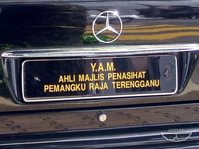 YAMAMPPRT-MercedesE220-closeup.jpg